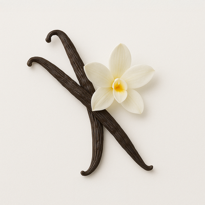 خلاصة الفانيليا